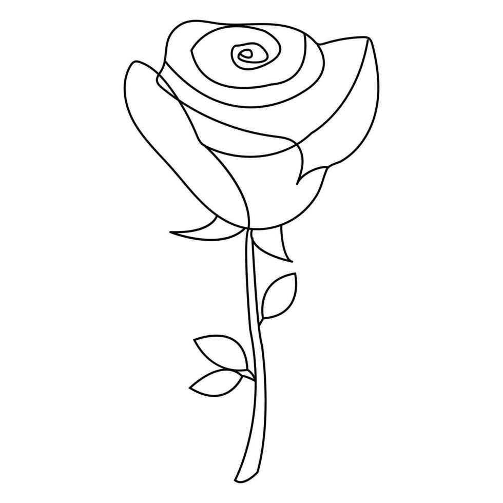 Continous Beautiful rose flowers single line drawing vector art