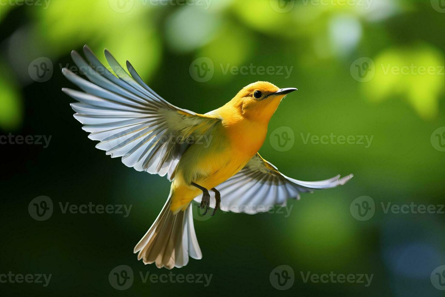 AI generated Prothonotary Warbler in Flight Amidst Green Foliage. AI Generated. photo