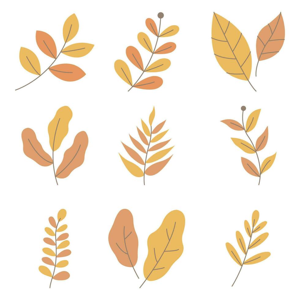 Element Nature Plant vector