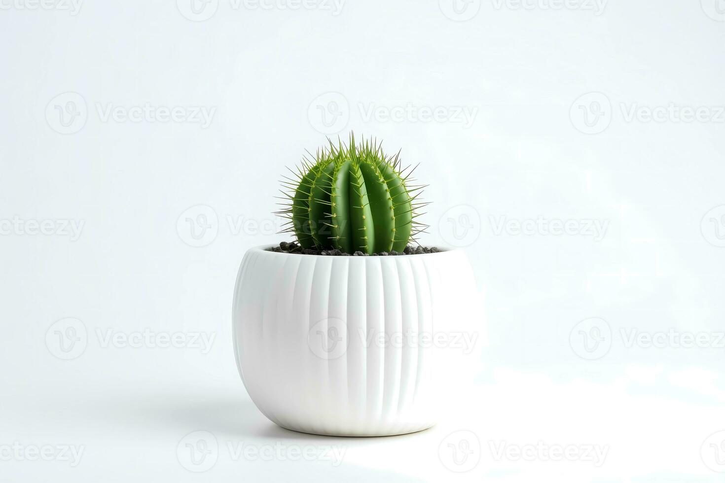 AI generated Front view of Small plant in pot succulents or cactus isolated on white background. Indoor plants. photo