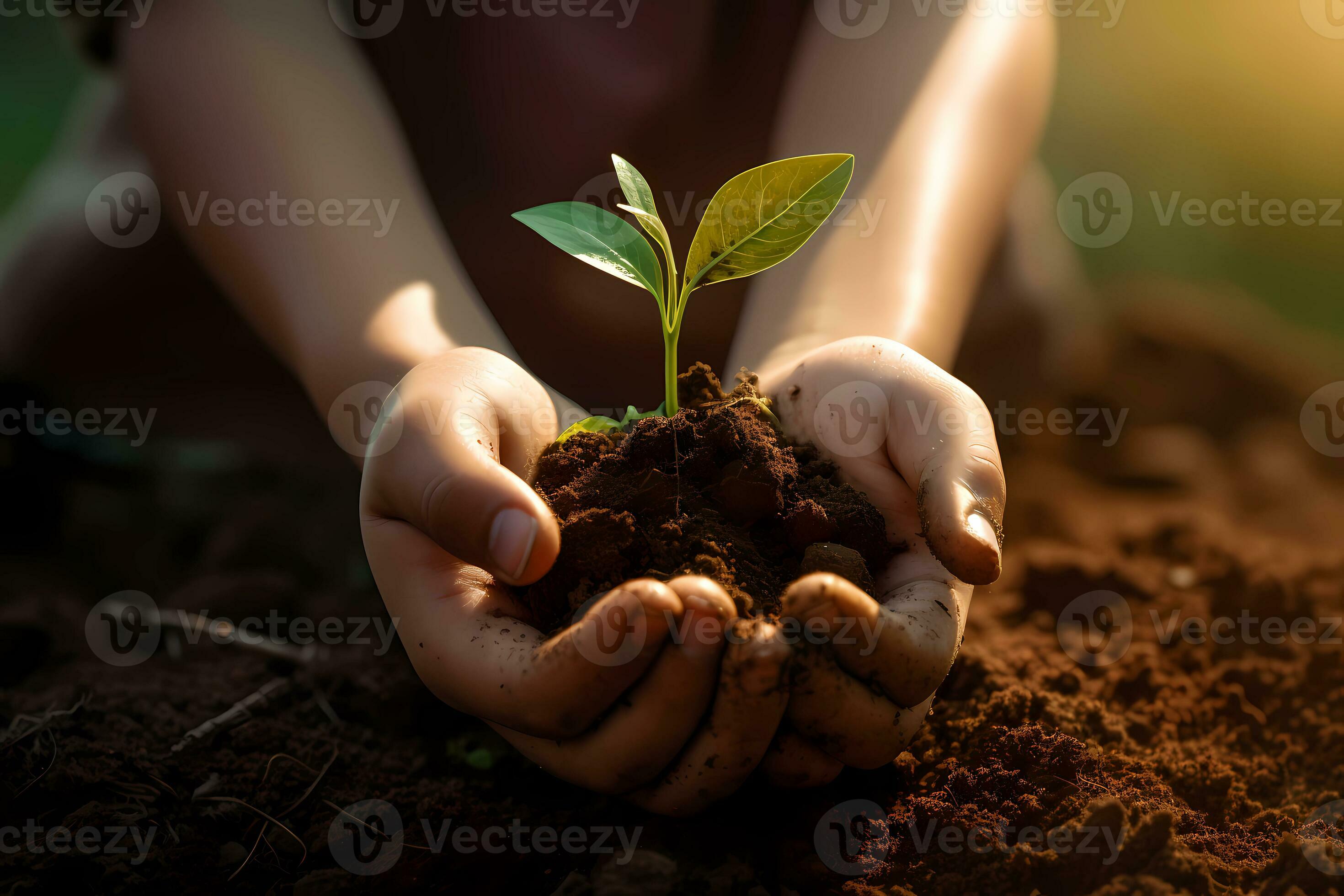 AI generated An adult man hand holding a small plant front view. Save