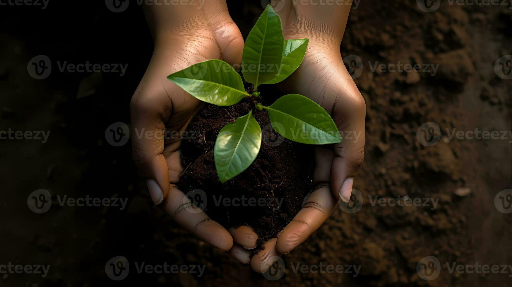 AI generated An adult man hand holding a small plant front view. Save