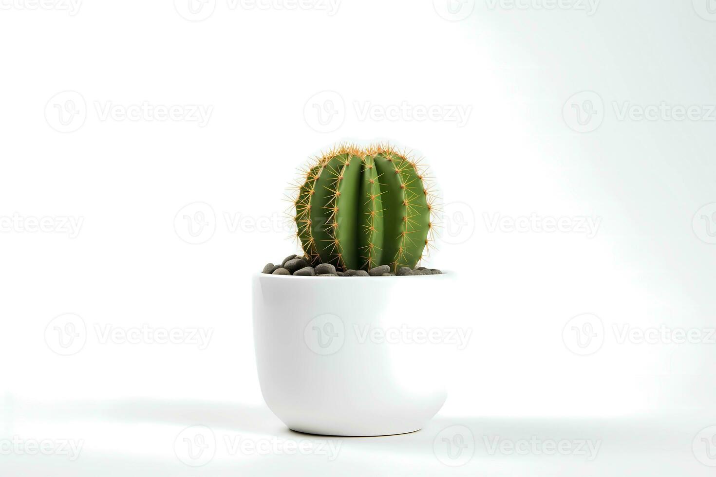 AI generated Front view of Small plant in pot succulents or cactus isolated on white background. Indoor plants. photo