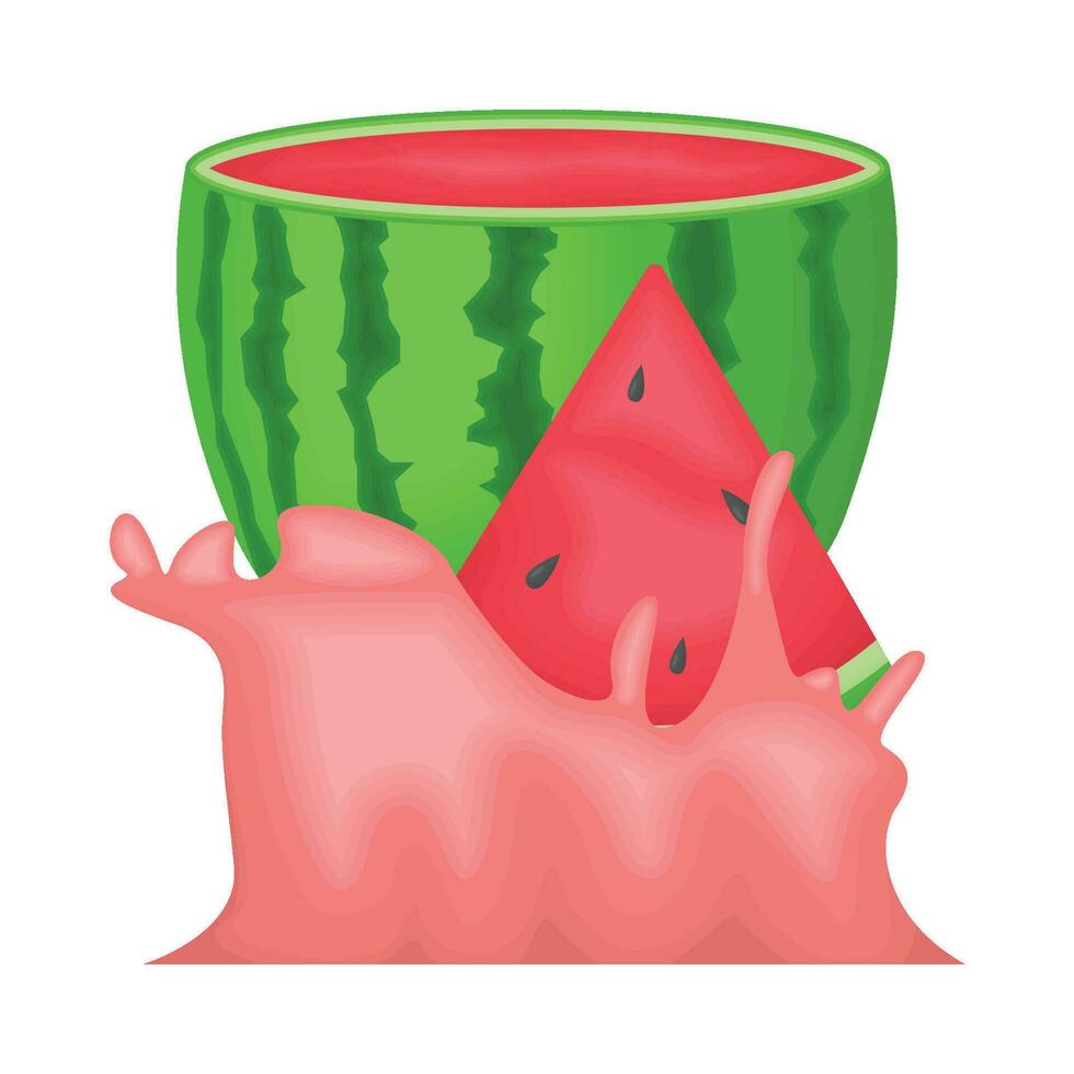 illustration of watermelon vector