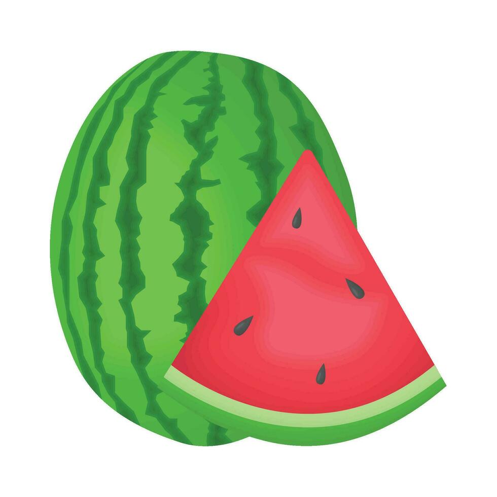 illustration of watermelon vector