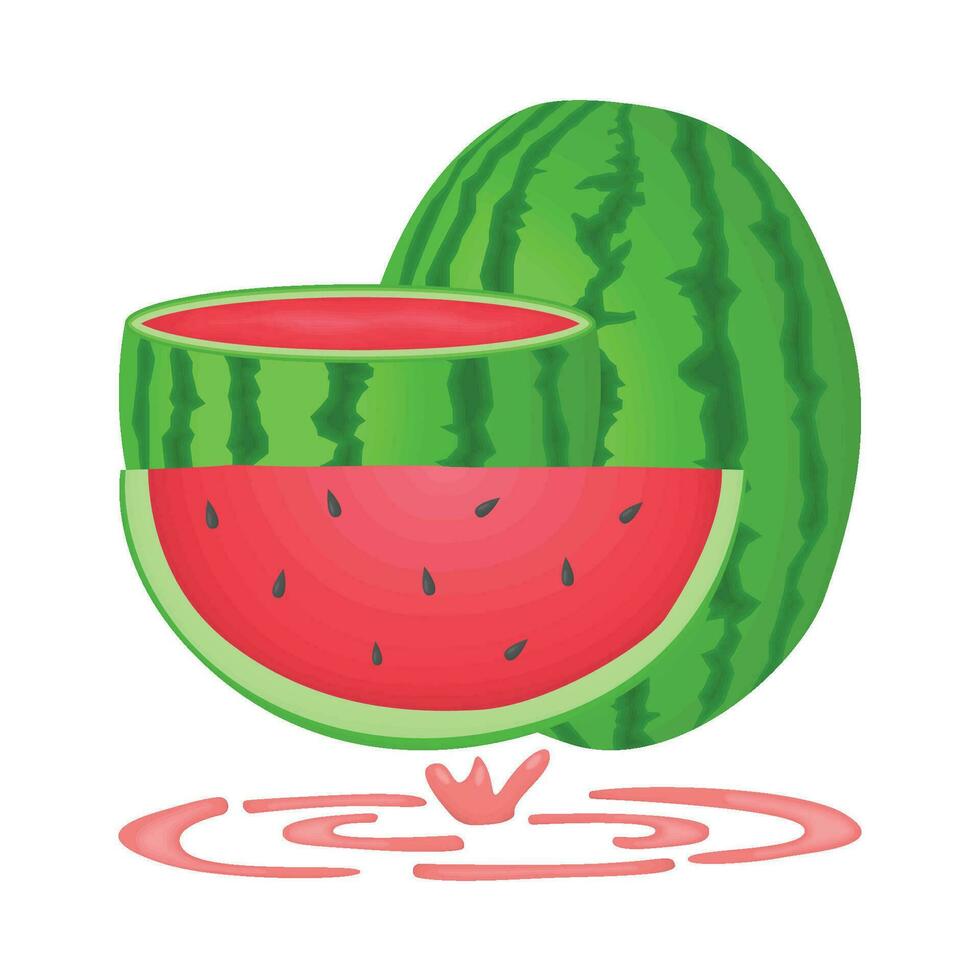 illustration of watermelon vector