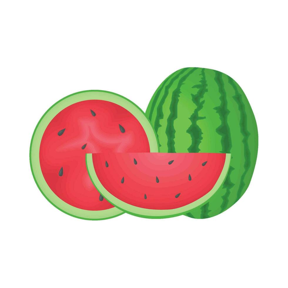 illustration of watermelon vector