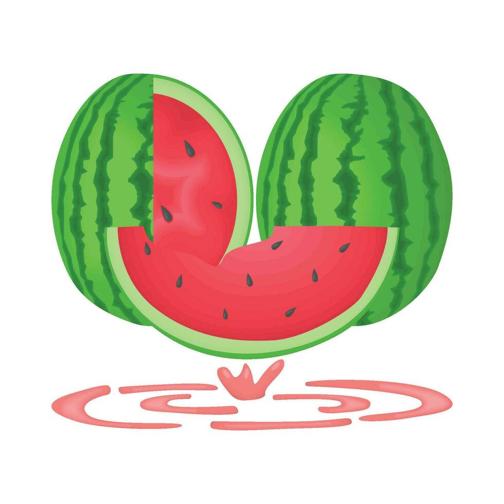 illustration of watermelon vector