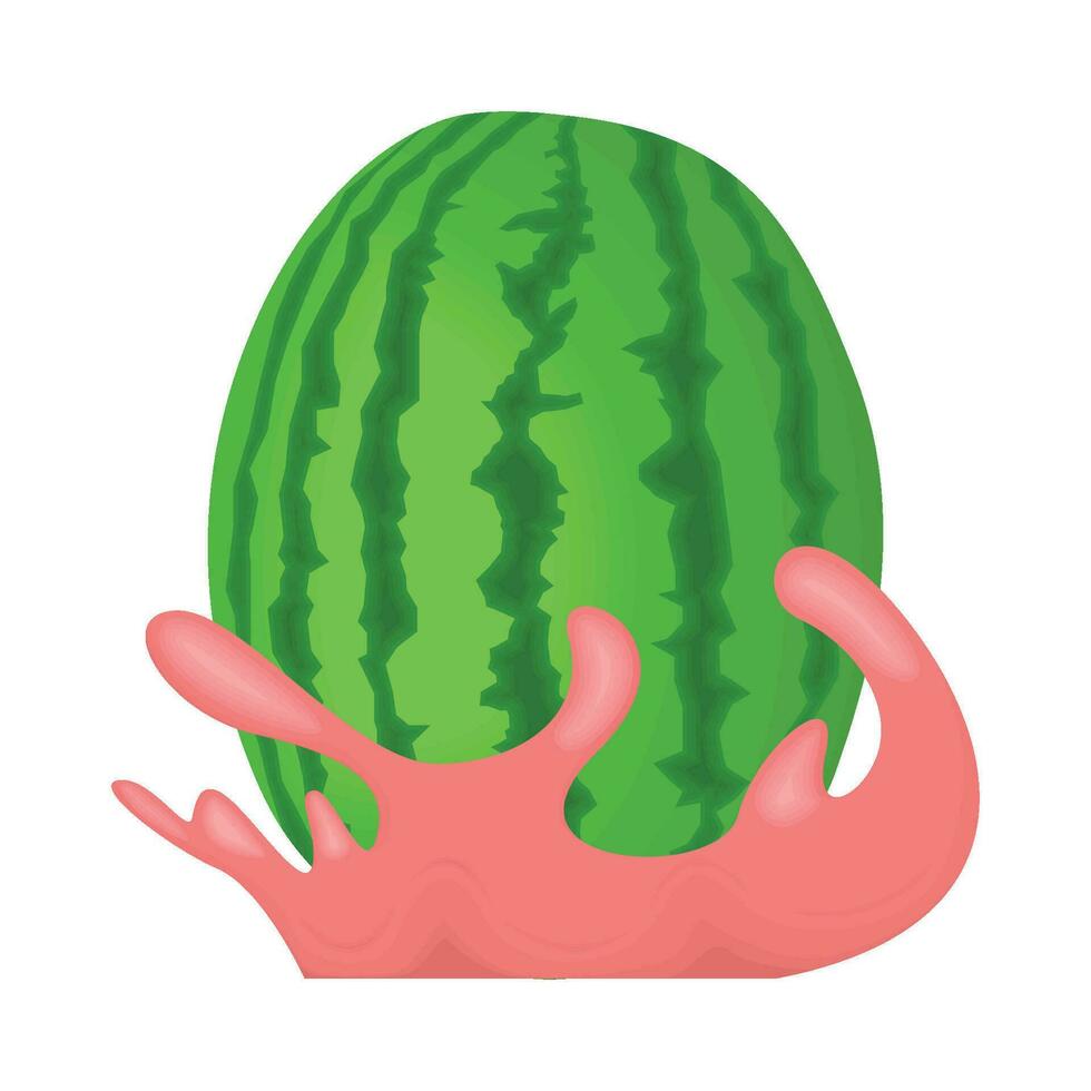 illustration of watermelon vector