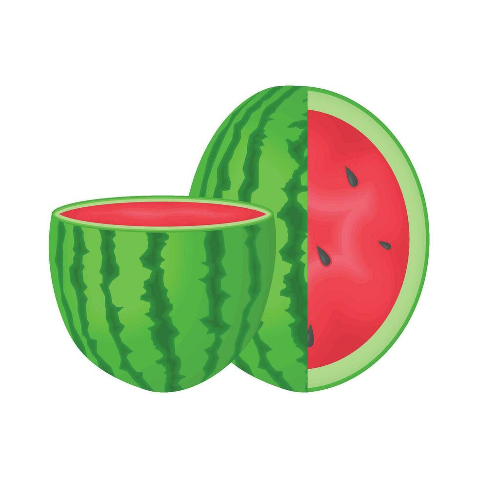 illustration of watermelon vector