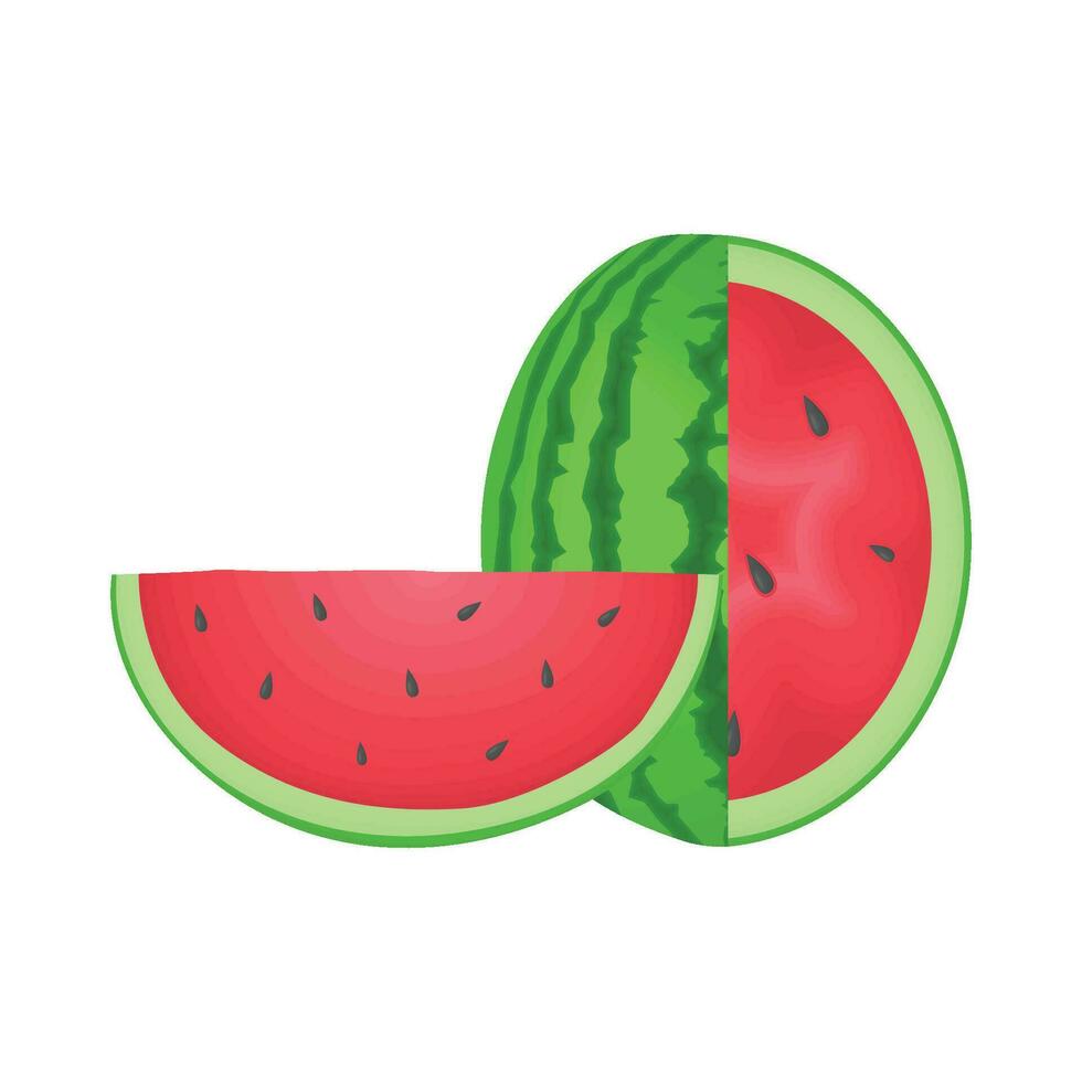 illustration of watermelon vector