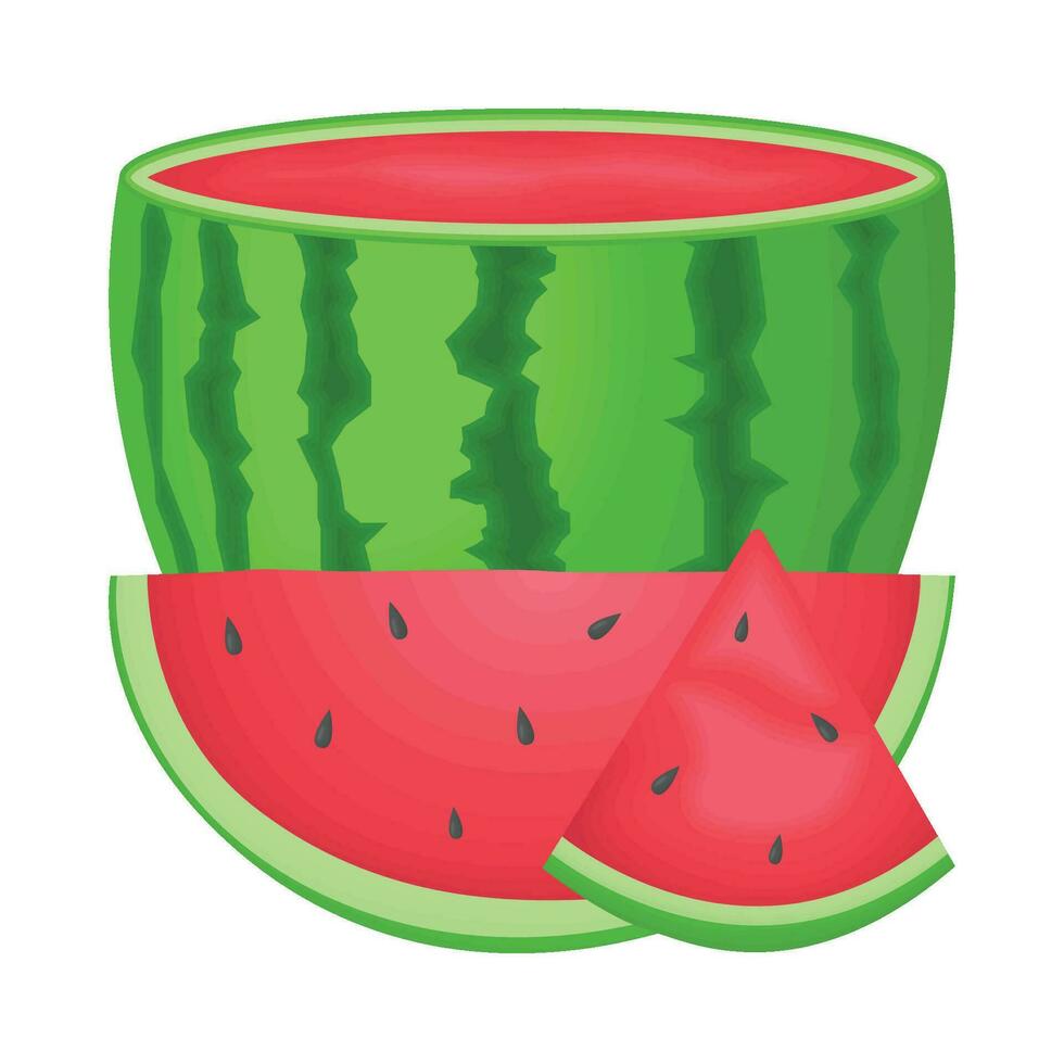 illustration of watermelon vector