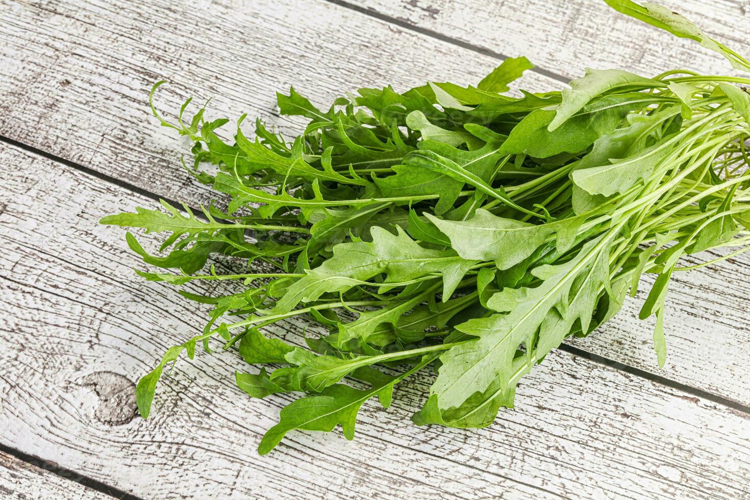 Fresh tasty natural organic rucola photo