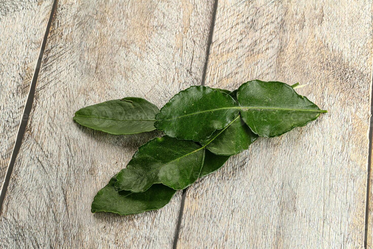 Aroma seasoning kaffir lime leaves photo