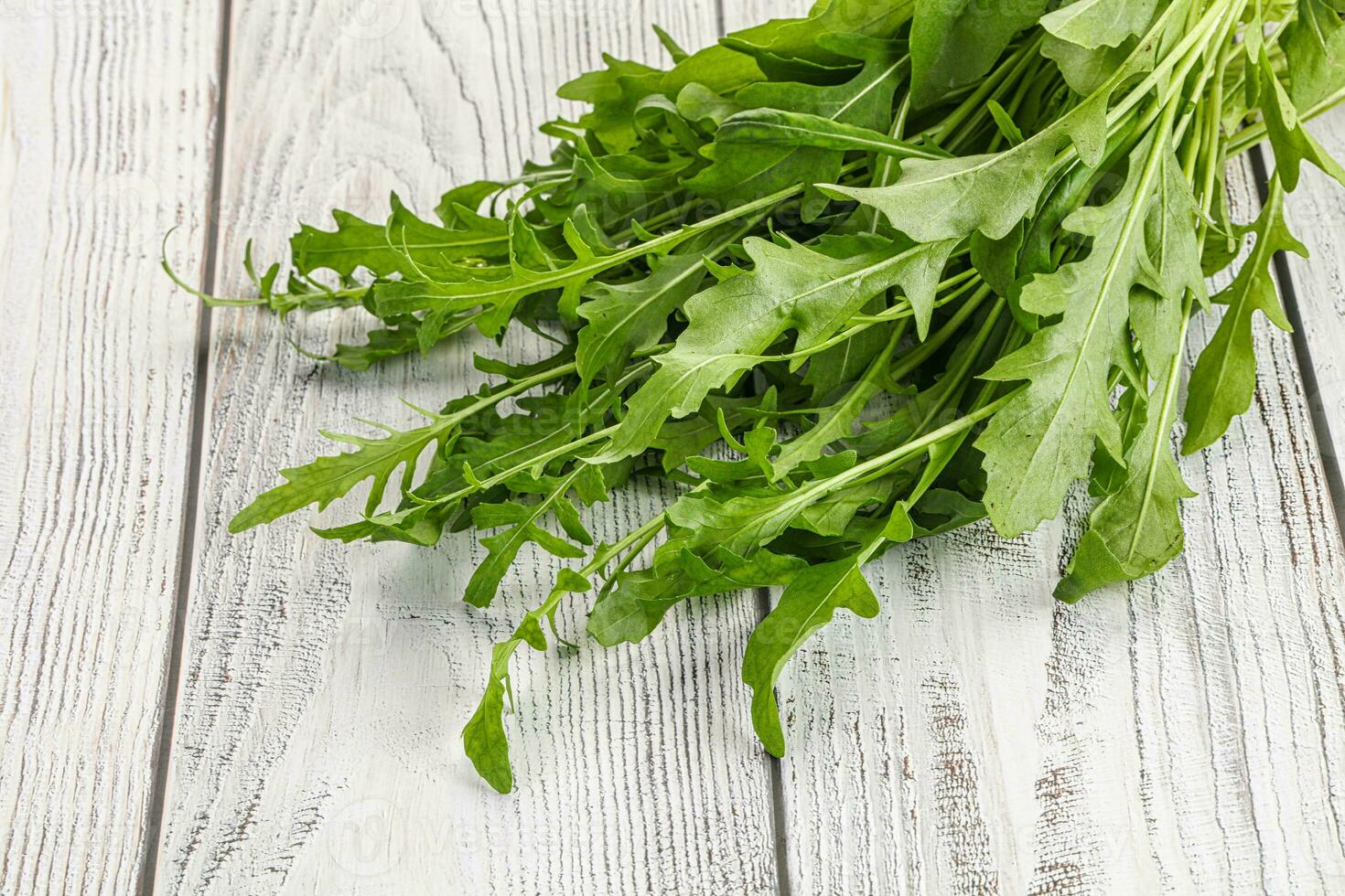 Fresh tasty natural organic rucola photo