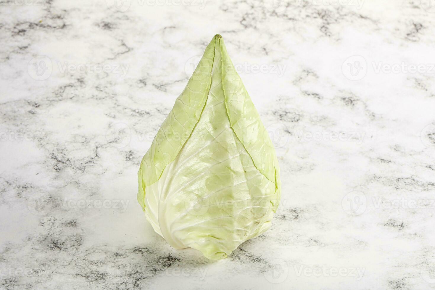 Cone sweetheart ripe green cabbage photo