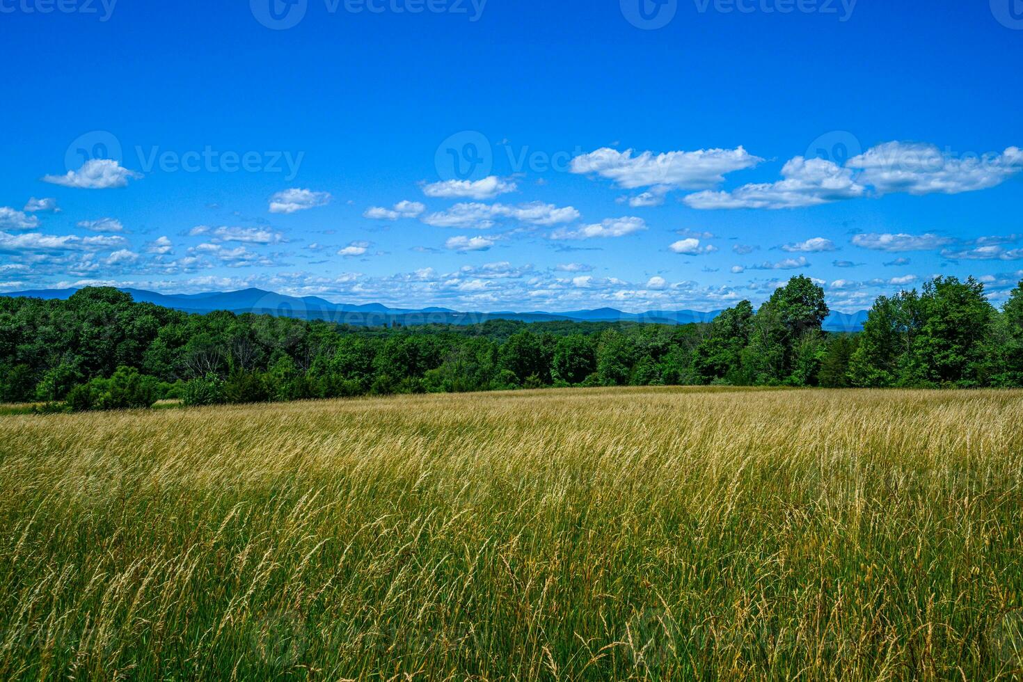 Appalachian Summer Fields photo