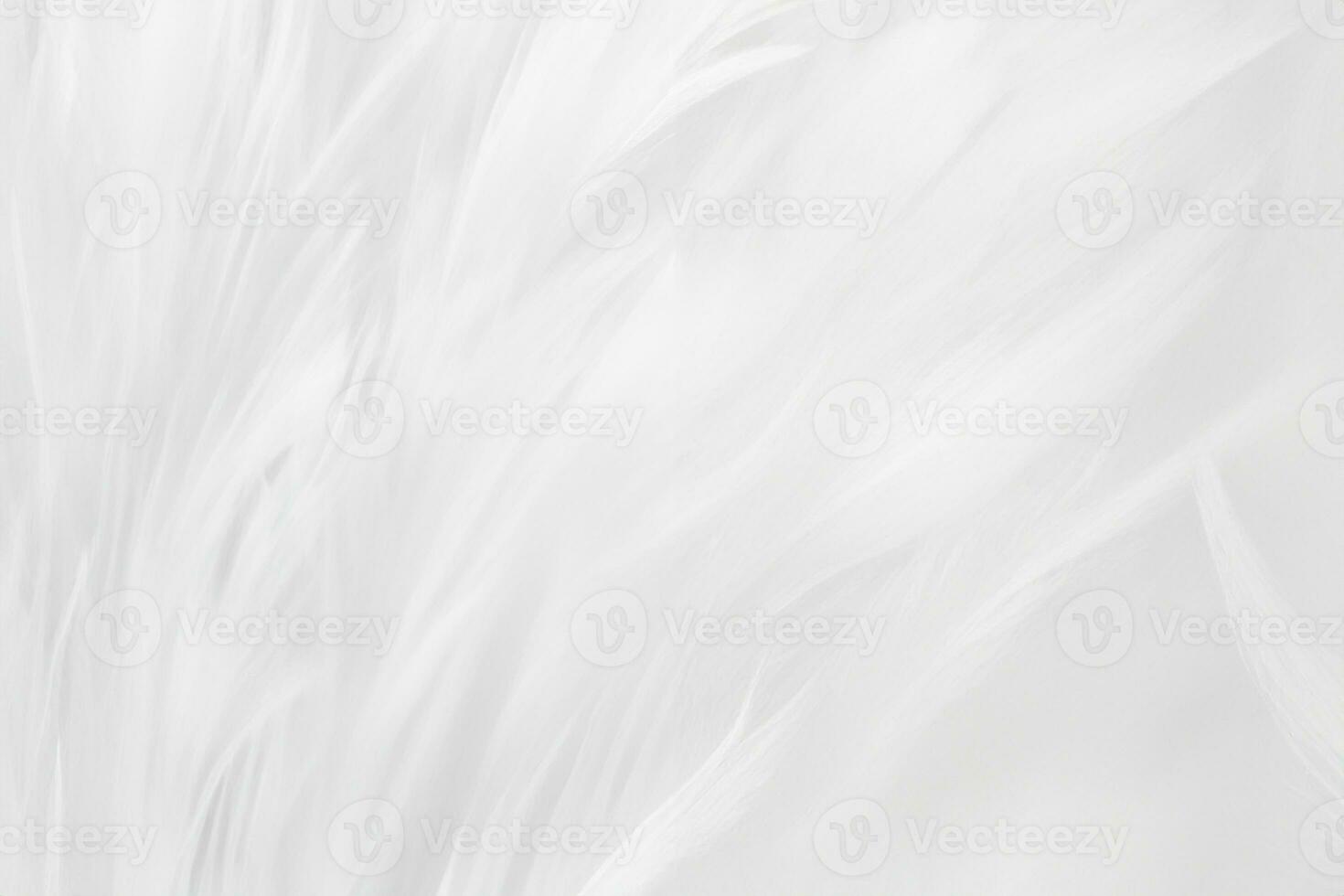 Beautiful white feather wool pattern texture background photo