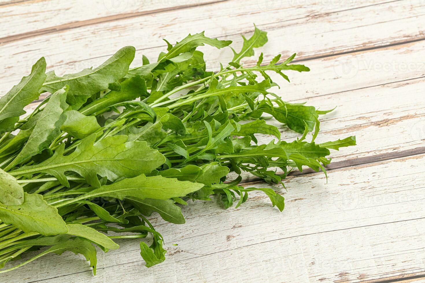 Fresh tasty natural organic rucola photo