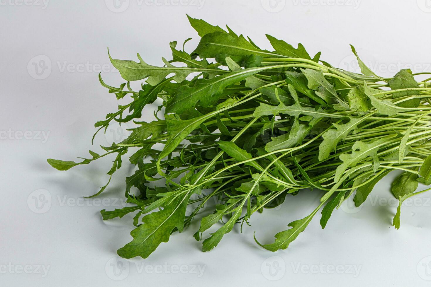 Fresh tasty natural organic rucola photo