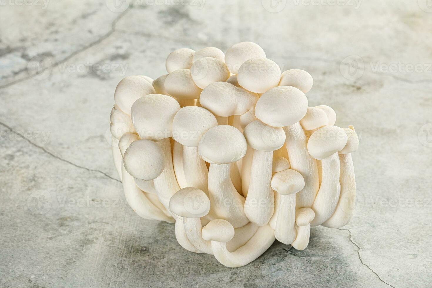 Japanese Shimeji mushroom for cooking photo