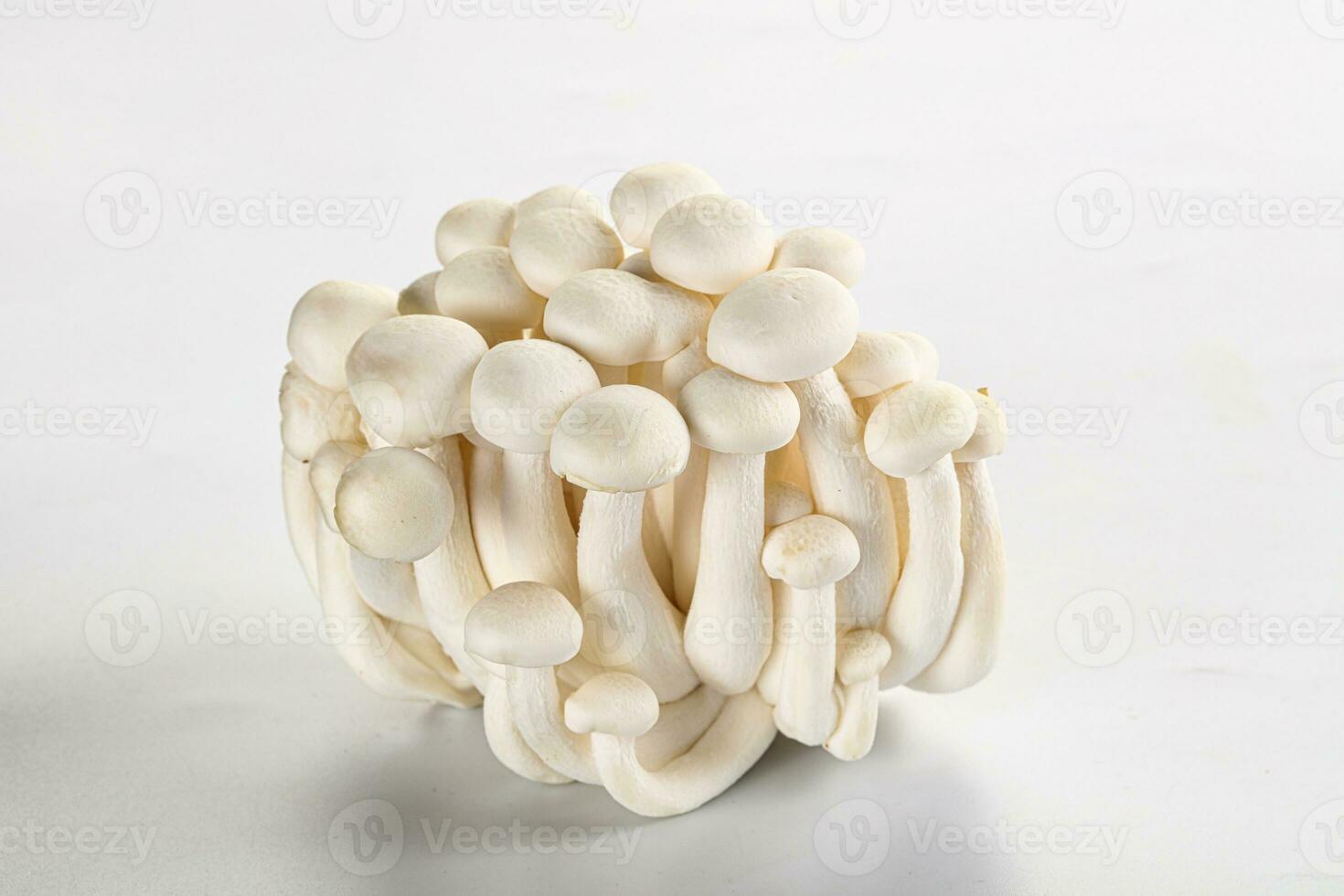 Japanese Shimeji mushroom for cooking photo