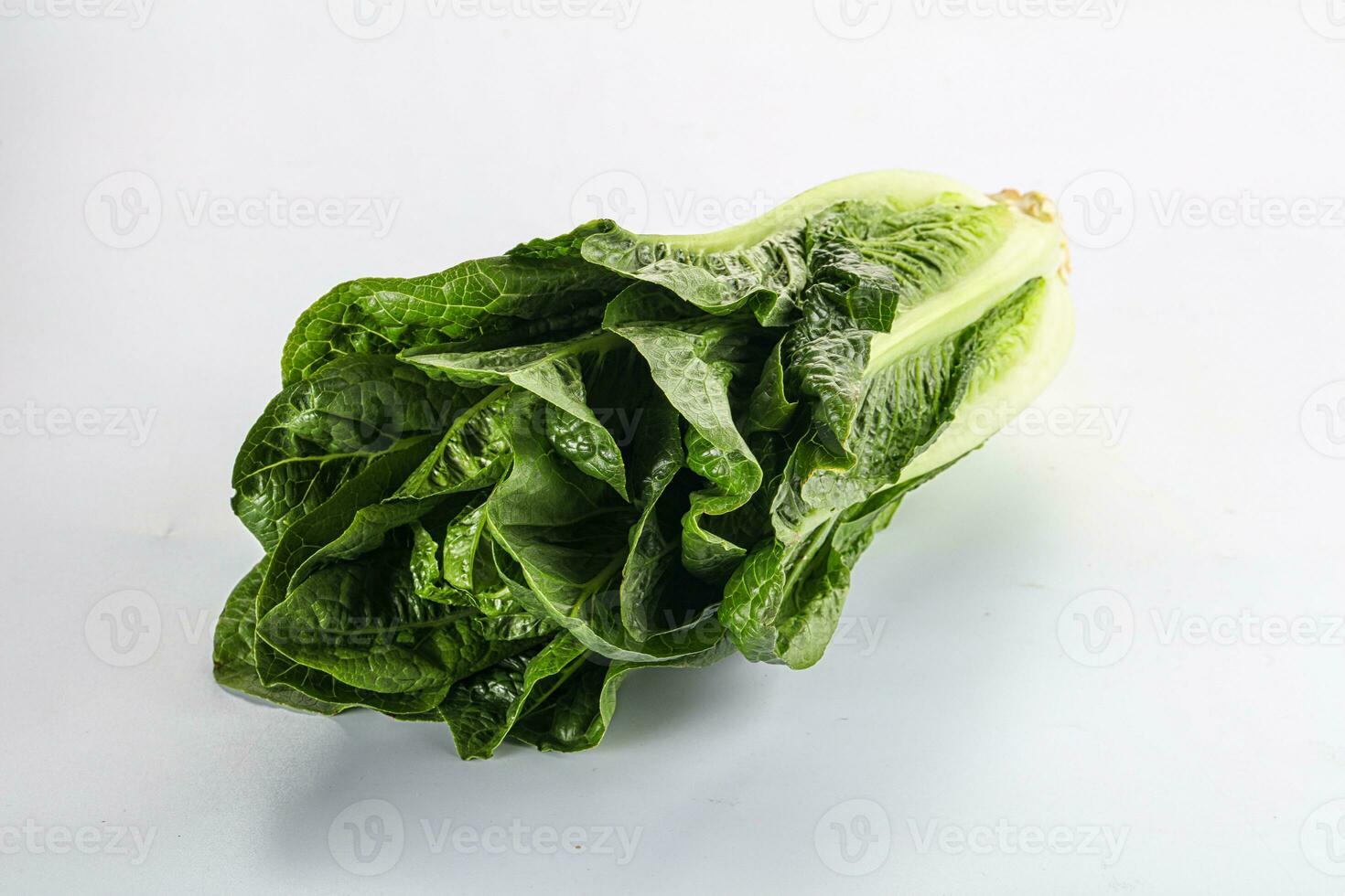 Green fresh juicy Romano salad photo