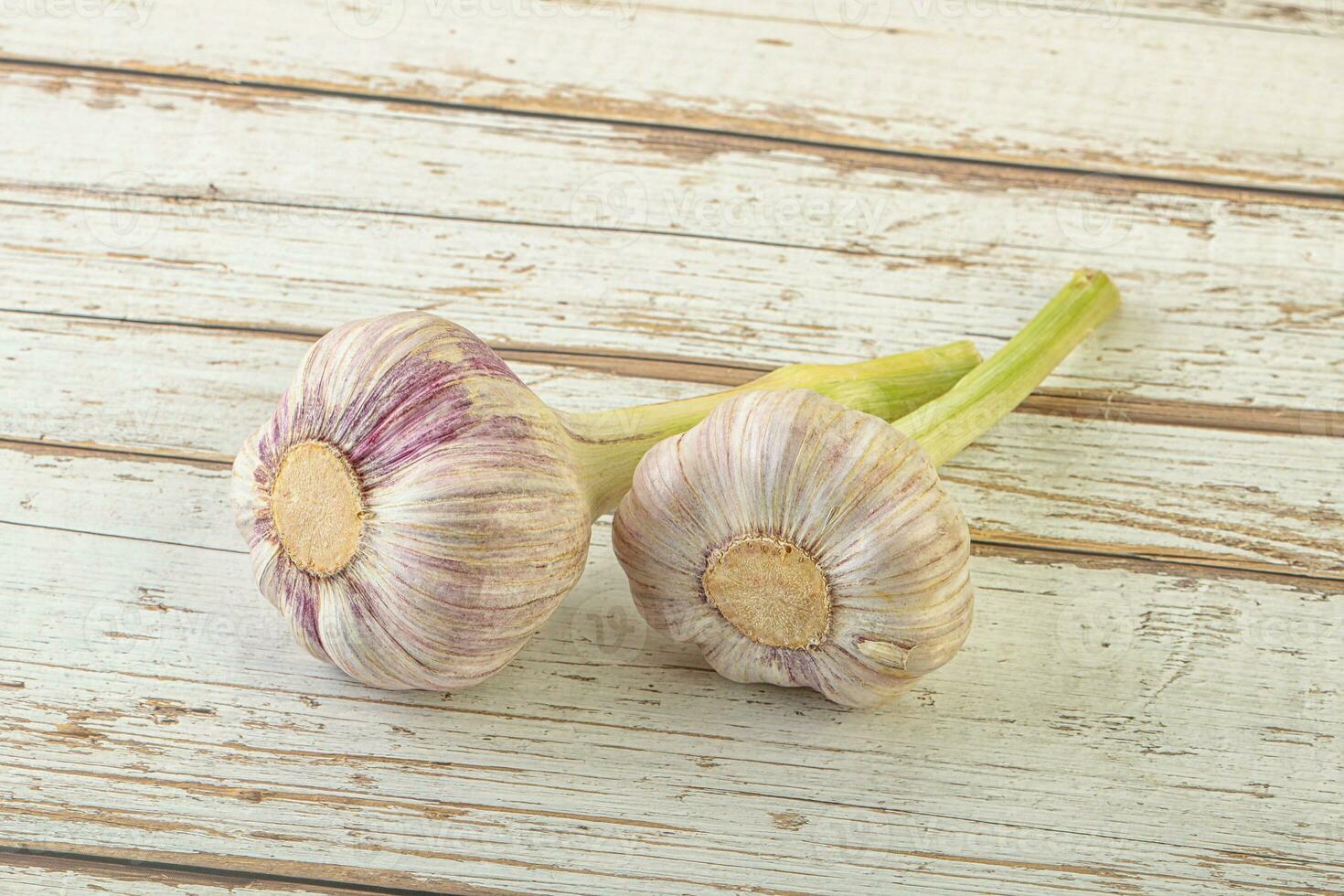 Two Young garlic over background photo