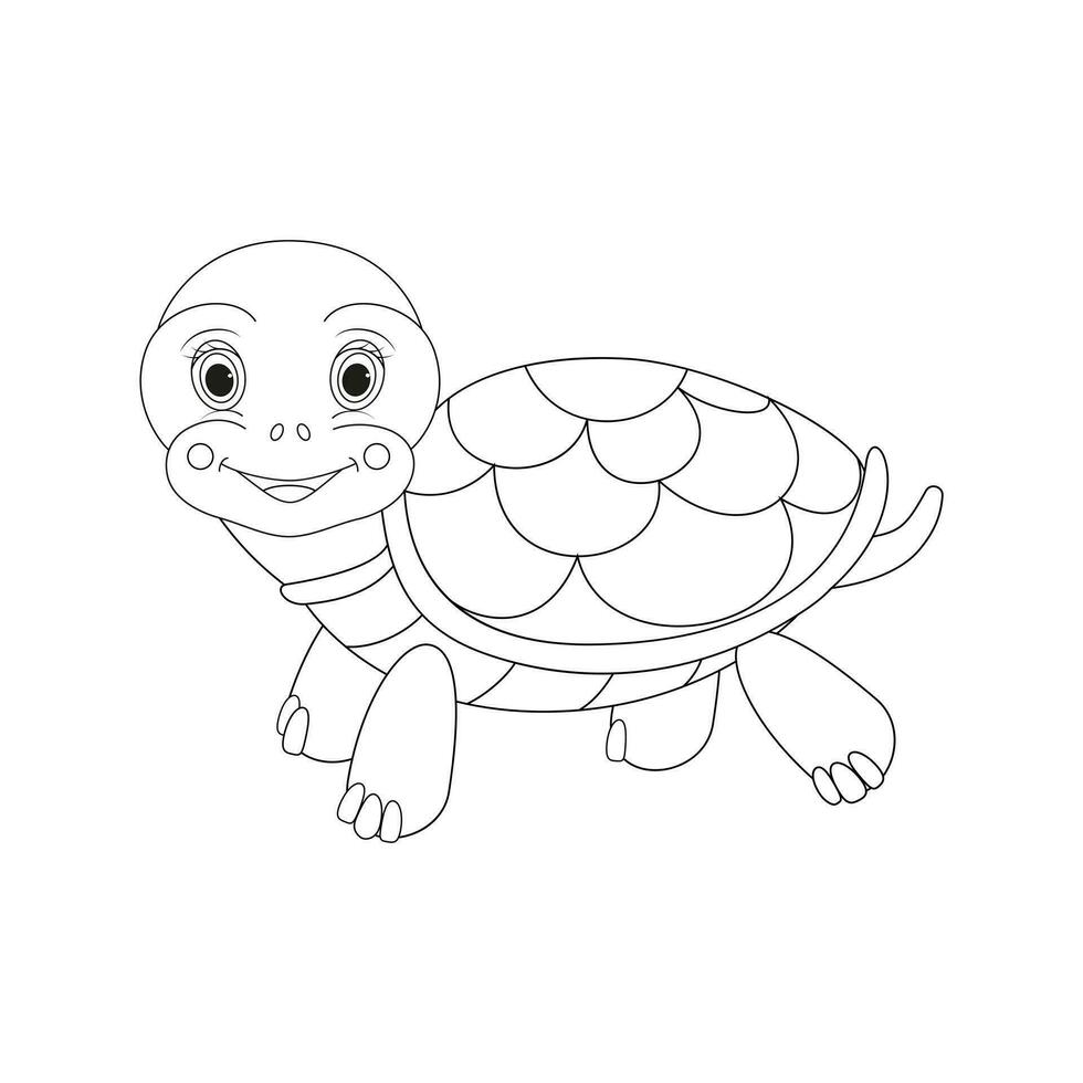 vector ilustración de Tortuga aislado en blanco antecedentes. para niños colorante libro.