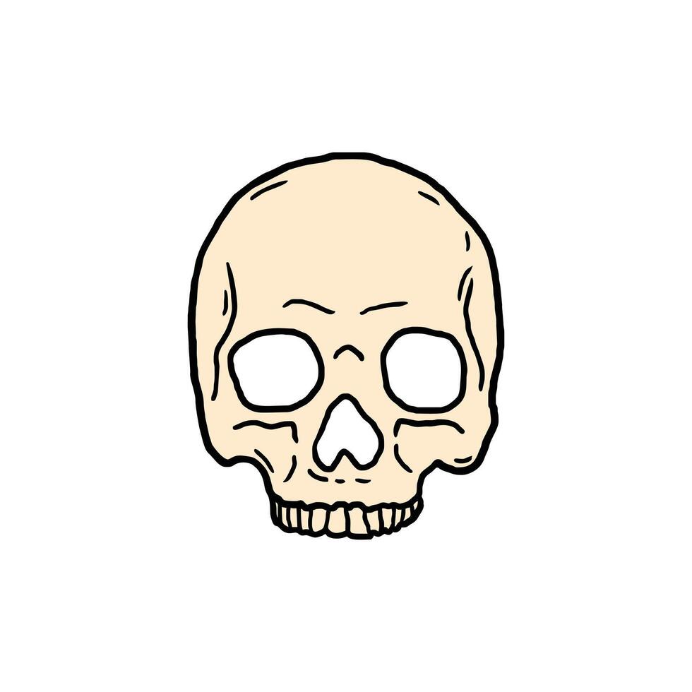 skull vector illustration template design