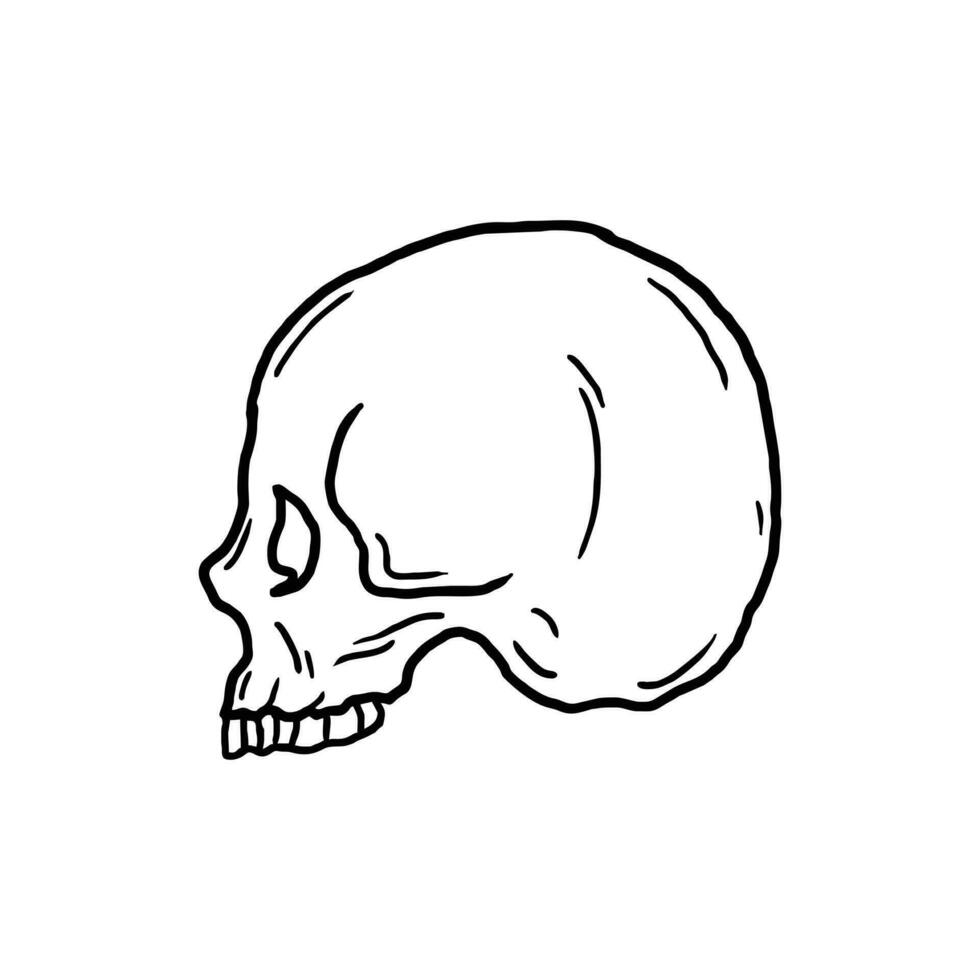 skull vector illustration template design