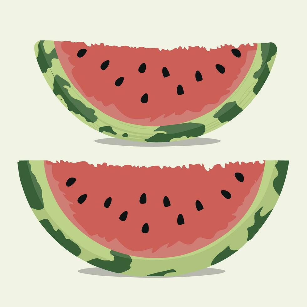 watermelon flat vector illustration set