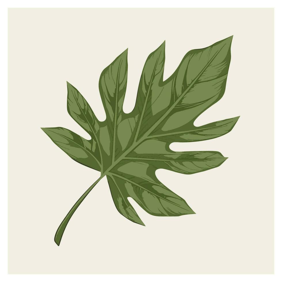 jungle tree leaf vector