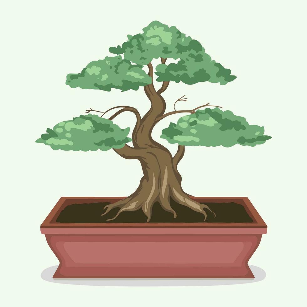 bonsai tree in a pot on a white background vector