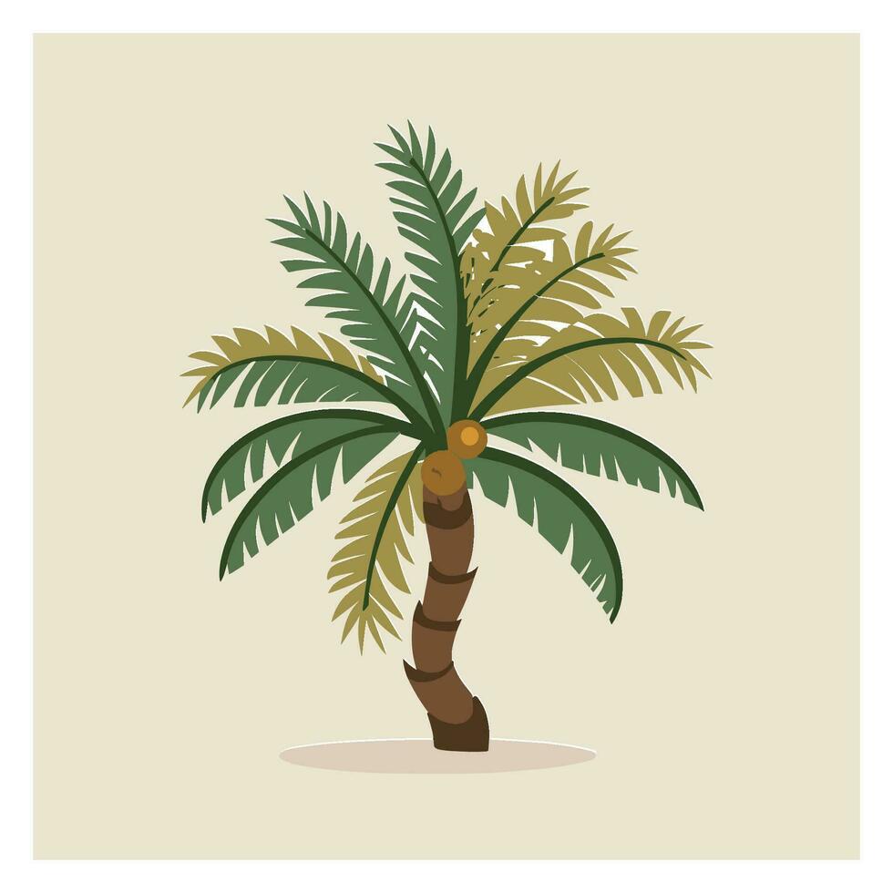 palm tree vector illustration isolated on white background