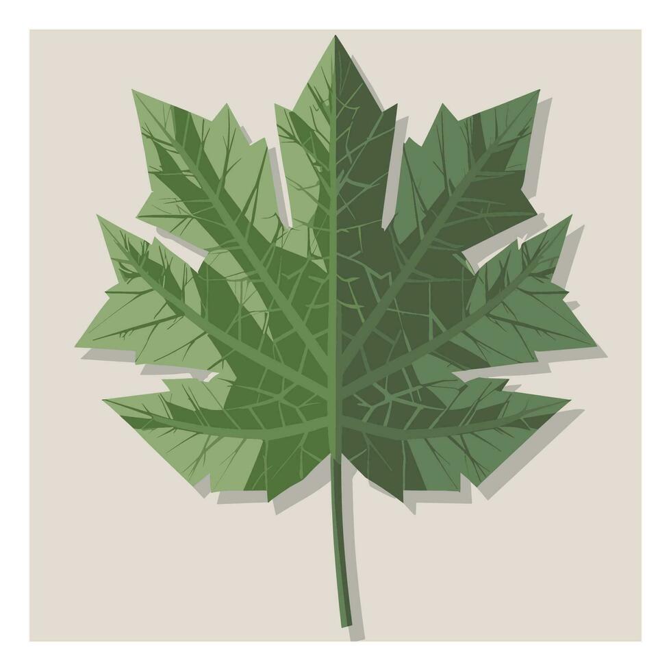 maple leaves vector