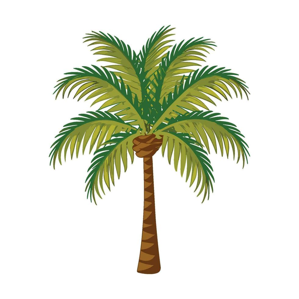 palm tree vector illustration isolated on white background