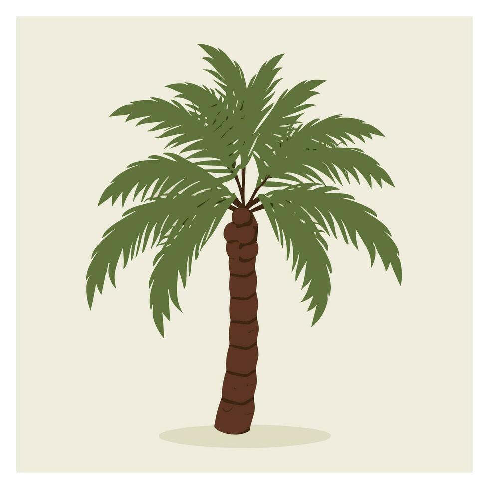 Ilustración de vector de palmera aislada sobre fondo blanco