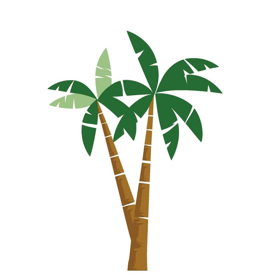 Ilustración de vector de palmera aislada sobre fondo blanco