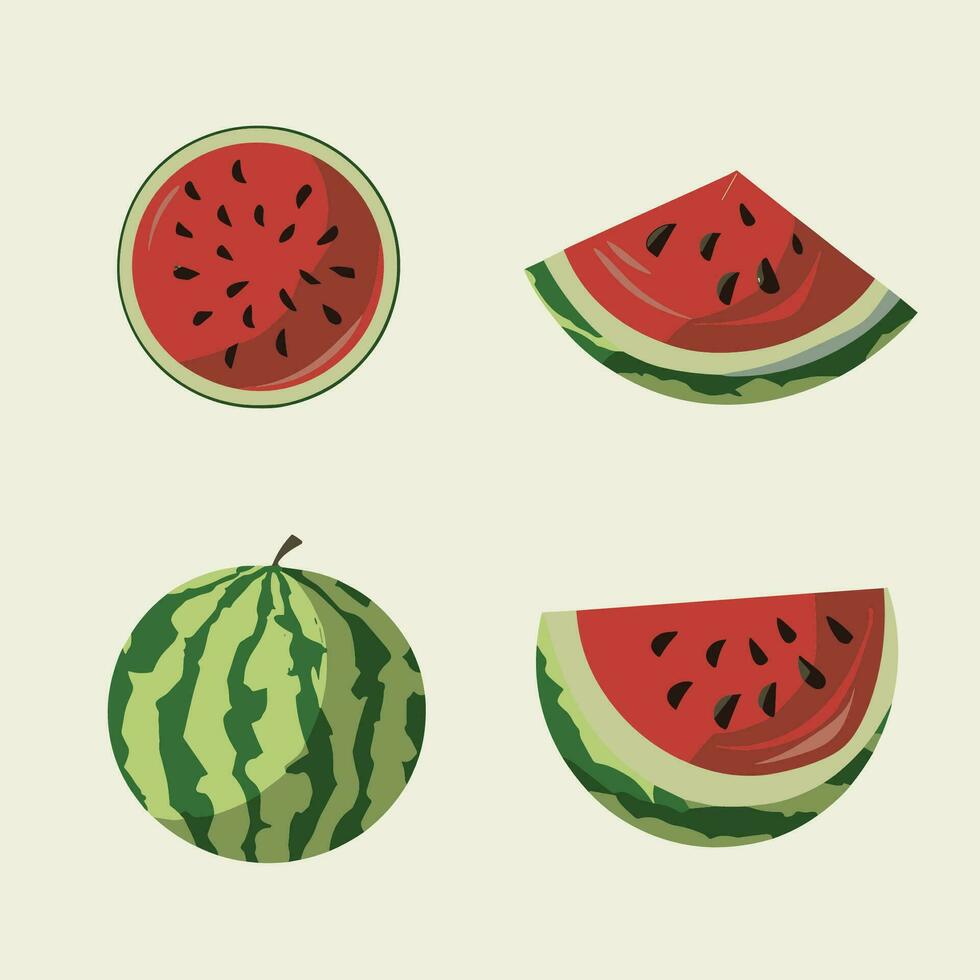 watermelon flat vector illustration set