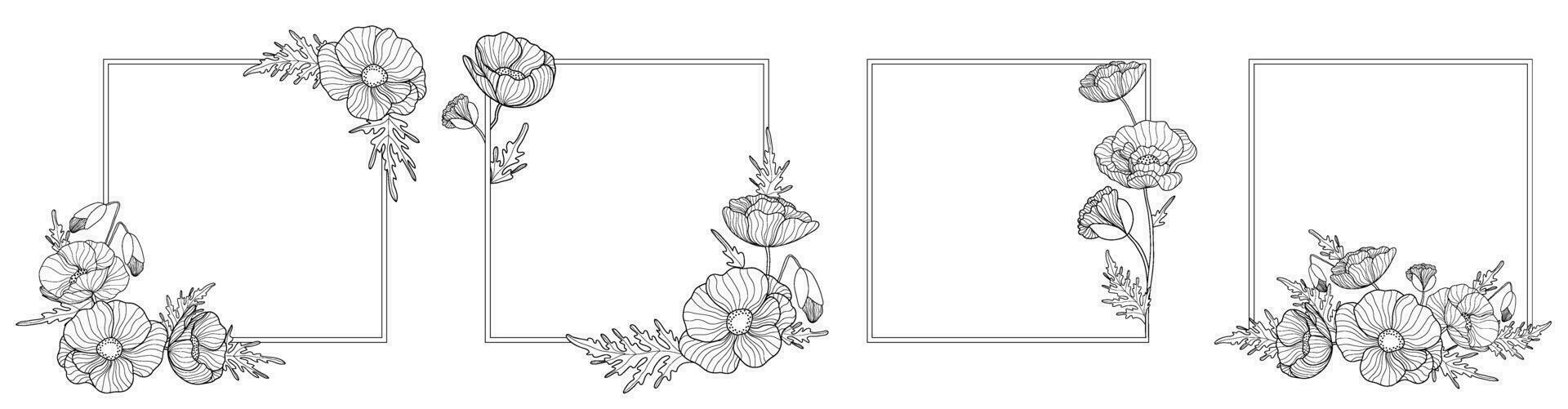 Set of romantic square frames with poppies. Floral wreath for labels, branding business identity, wedding invitation. vector