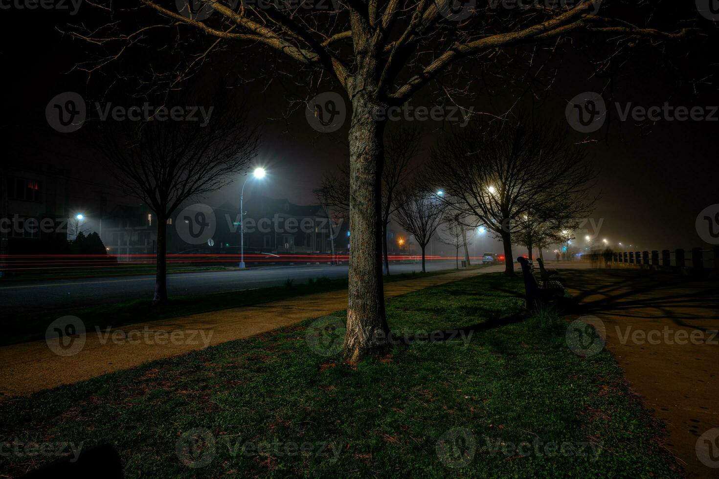 Foggy Bay at Night photo