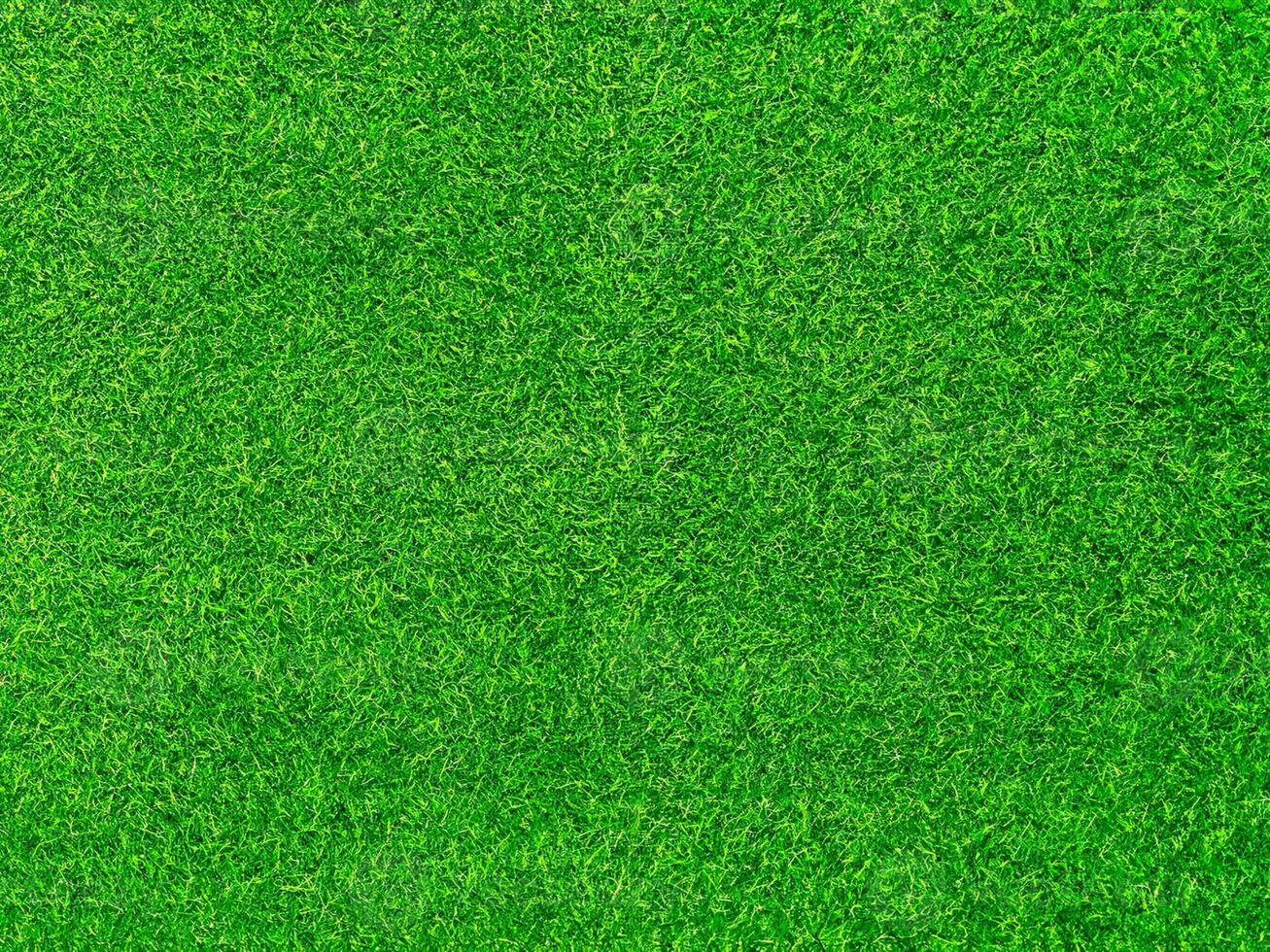 Green grass texture background grass garden concept used for making green background football pitch, Grass Golf, green lawn pattern textured background. photo