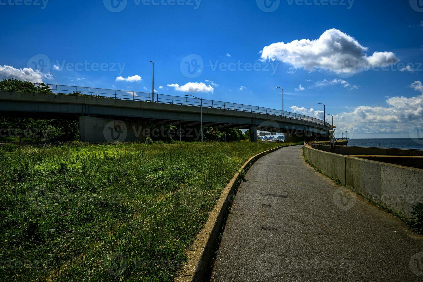 Verrazano Narrows Bridge photo