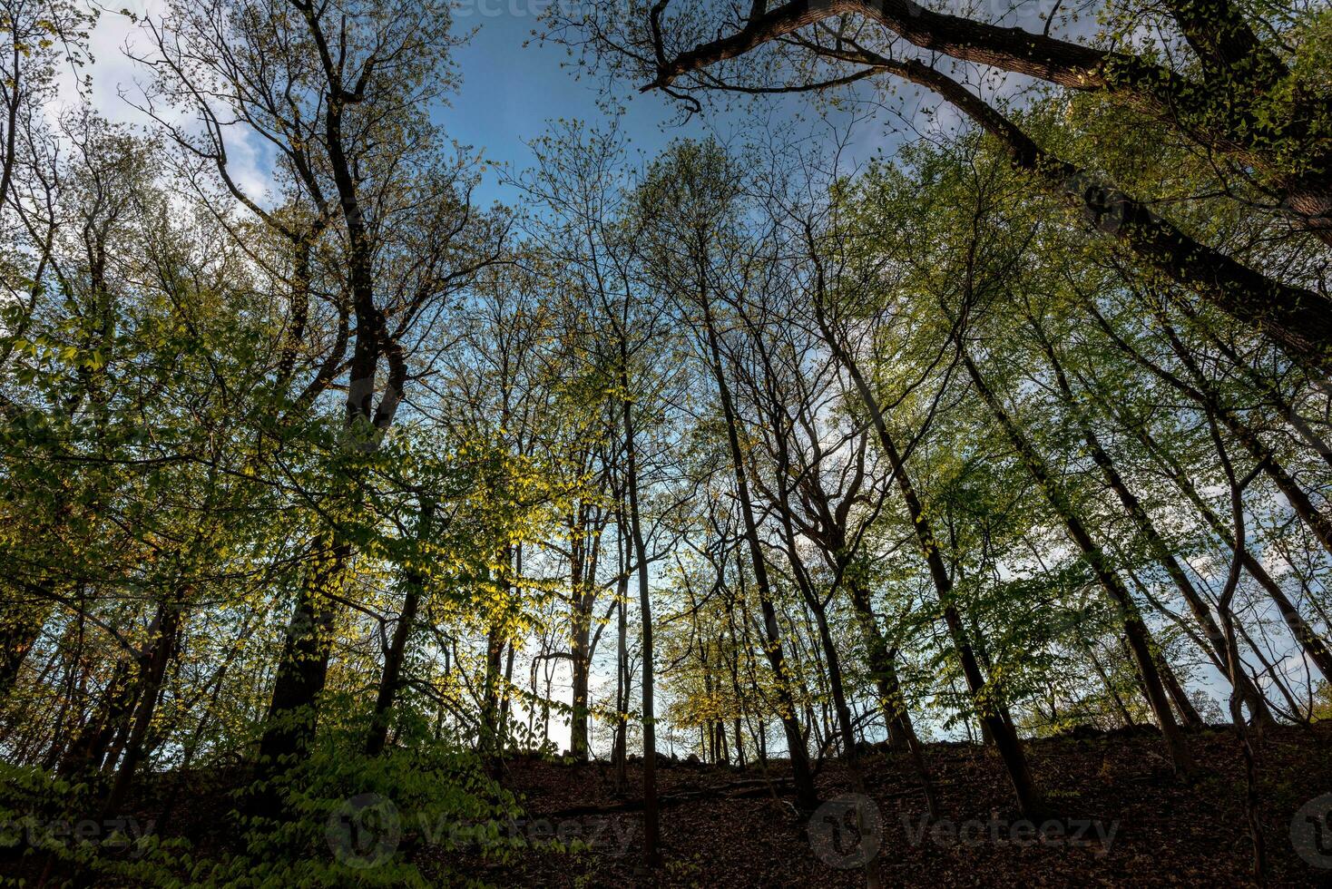 Spring in Hudson Valey photo