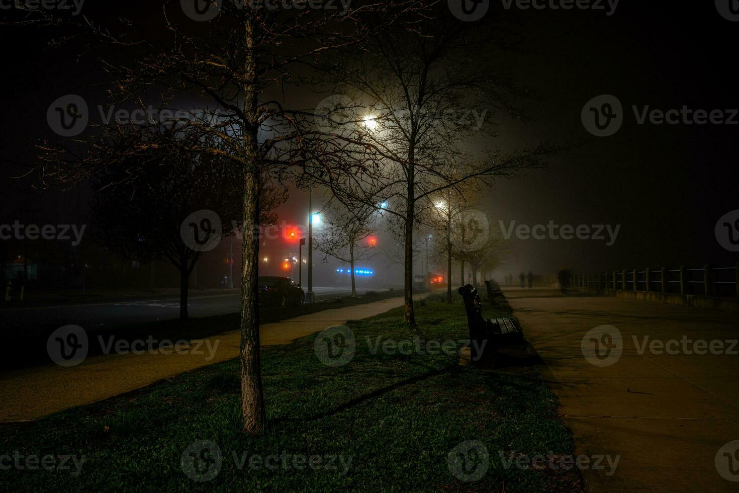Foggy Bay at Night photo
