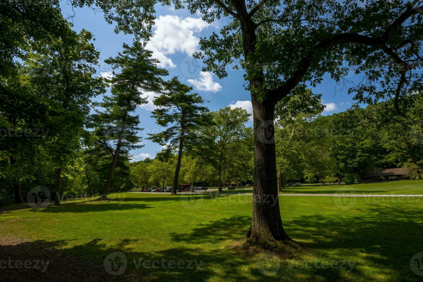 Letchworth estado parque medio caídas foto