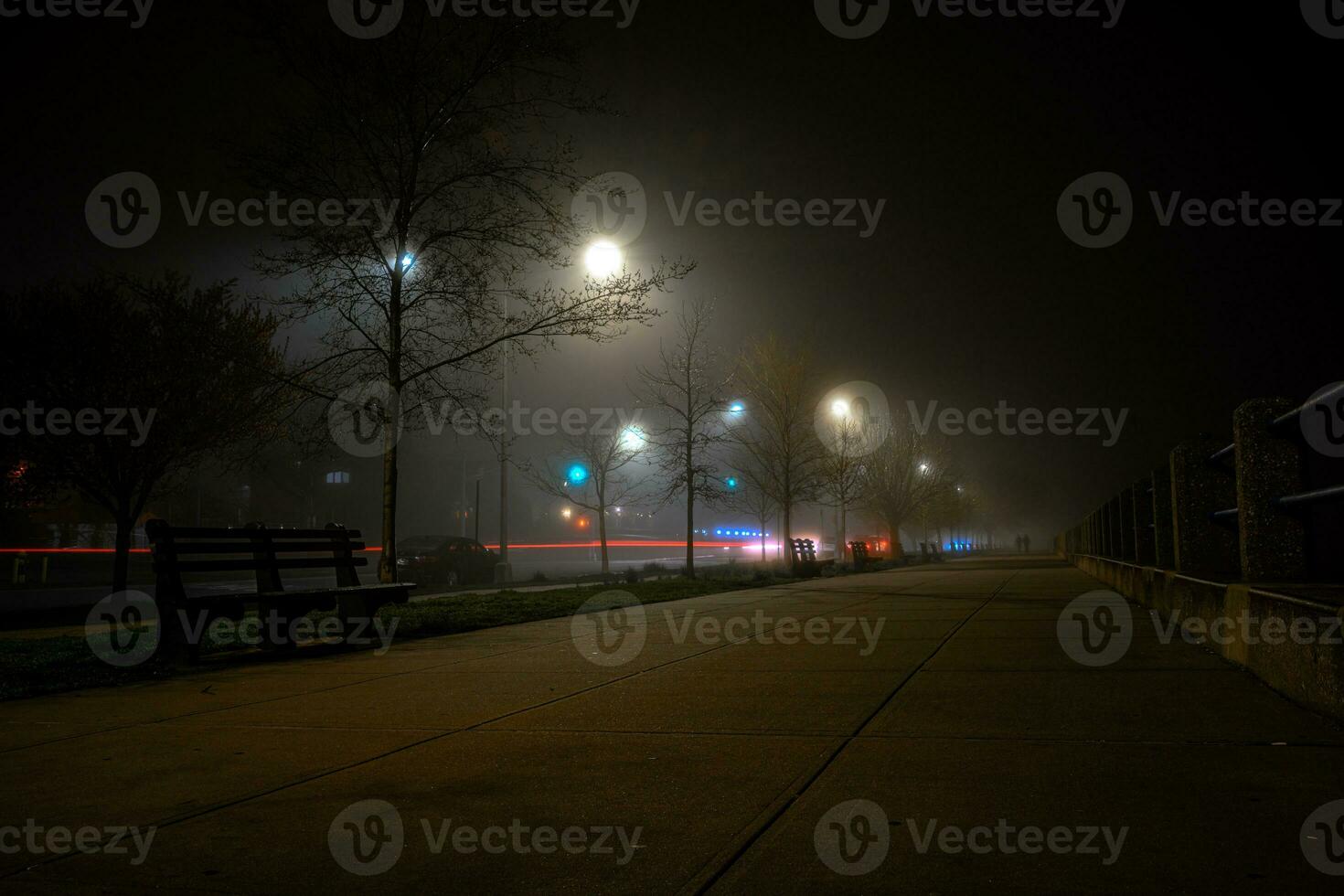 Foggy Bay at Night photo