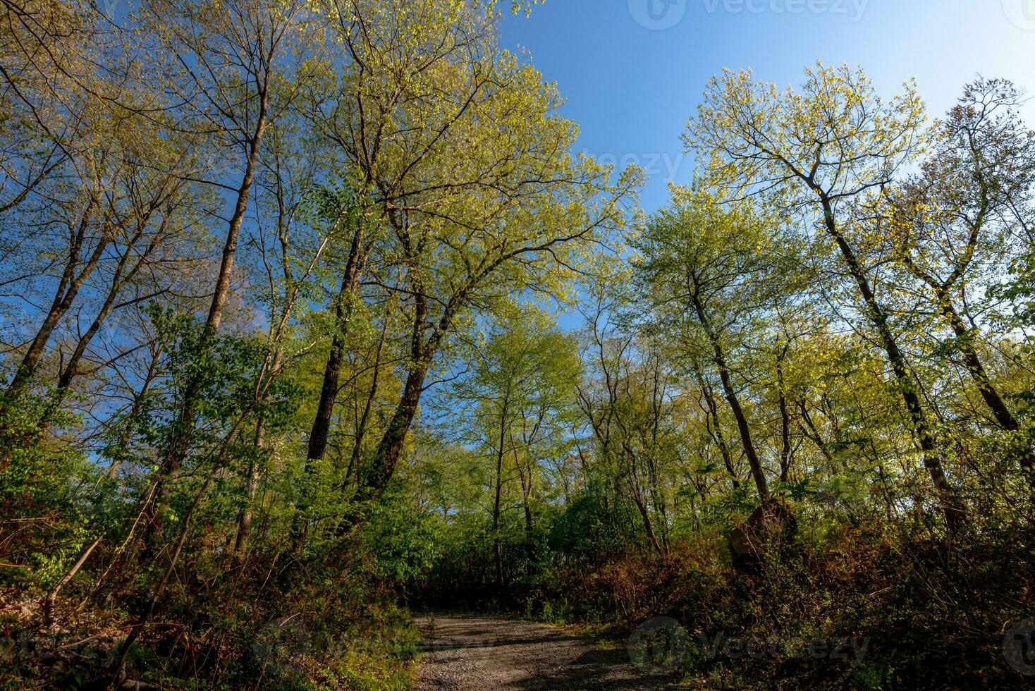 Spring in Hudson Valey photo