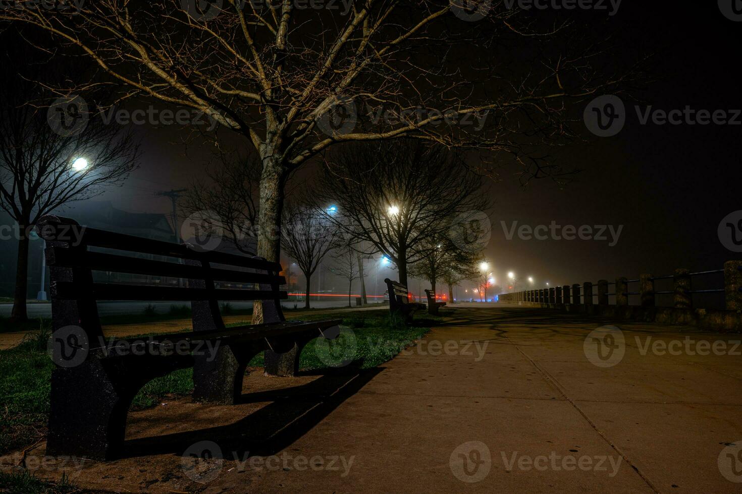 Foggy Bay at Night photo